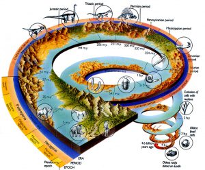 Як зародилося життя на землі і еволюція біосфери